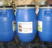 YUCCA POWDER